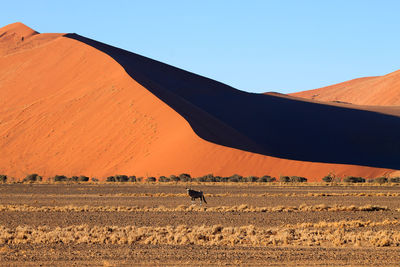 Scenic view of a desert against clear sky