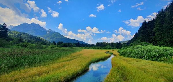 Scenic view of landscape against sky