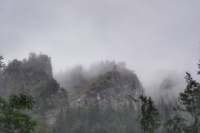 Panoramic shot of trees and mountains against sky