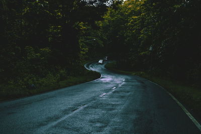 Road amidst trees