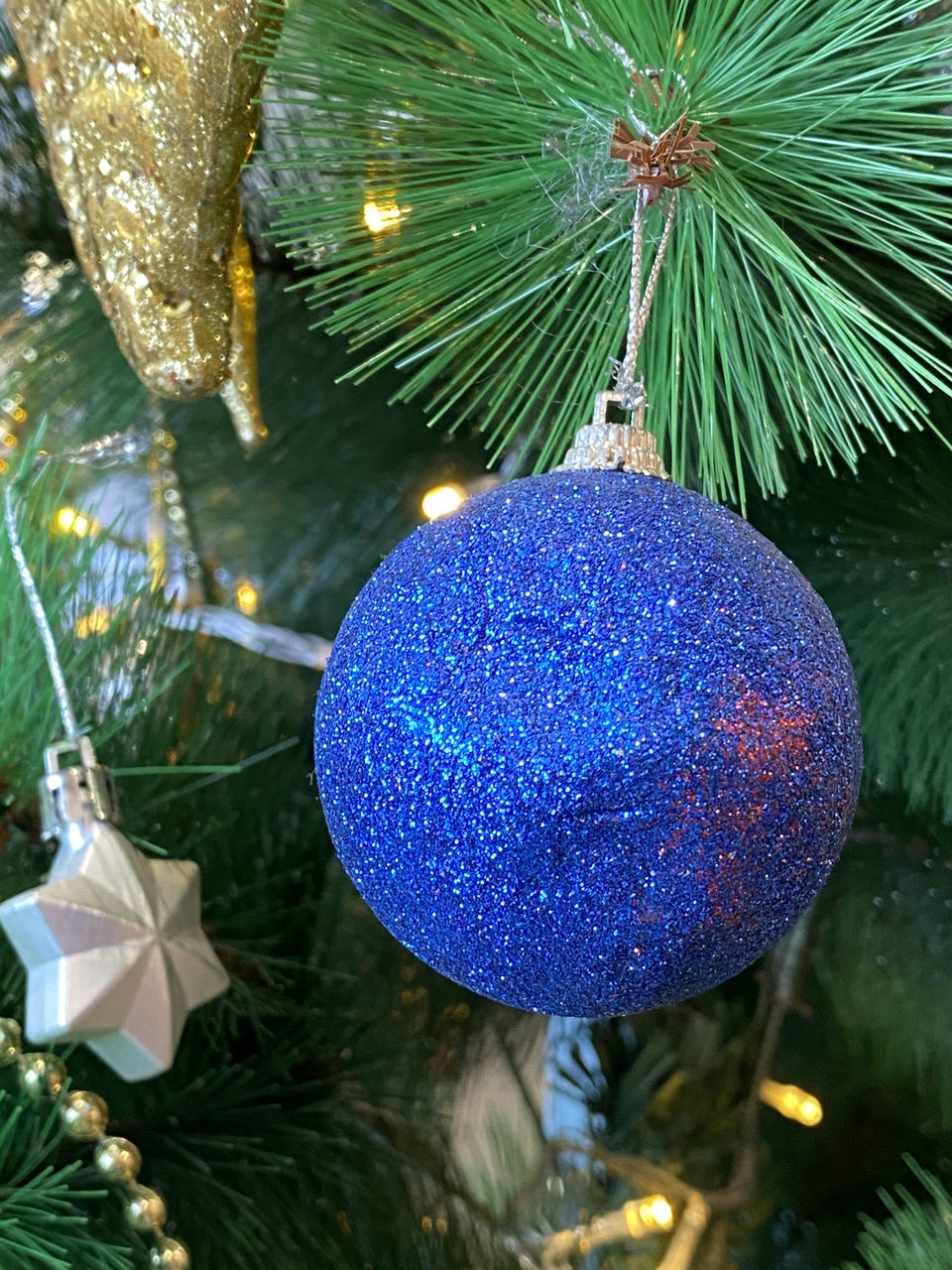 holiday, tree, decoration, christmas, christmas decoration, christmas tree, celebration, christmas ornament, branch, tradition, hanging, plant, no people, christmas lights, illuminated, fir, close-up, nature, sphere, event, interior design, indoors, religion, green, trip
