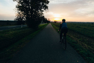 Rear view of person riding bicycle on road during sunset