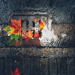 Close-up of orange fire on log against wall