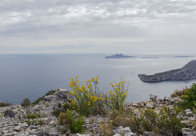 Scenic view of sea against sky