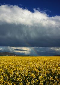 Scenic view of field against cloudy sky