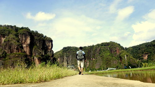 Rear view of man walking by trees against sky