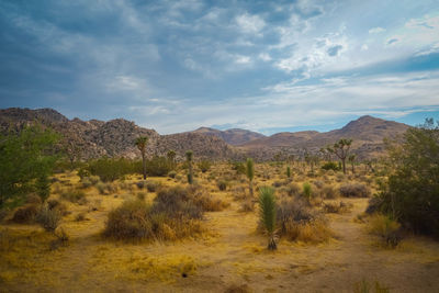 Scenic view of landscape and mountains against sky