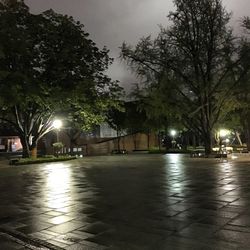 Street light at night