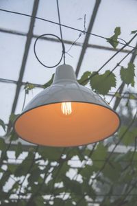 Low angle view of pendant light hanging from ceiling