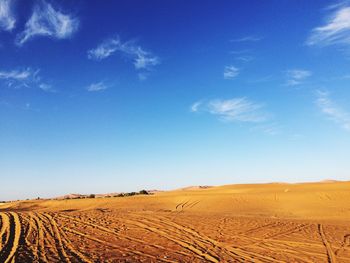 Scenic view of agricultural field against blue sky