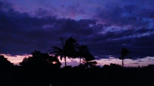 Silhouette of palm trees against cloudy sky