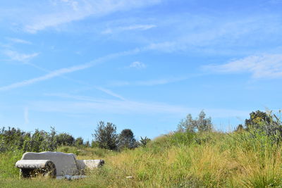 Scenic view of field against blue sky