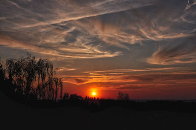 Silhouette trees against sky during sunset