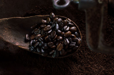 Close-up of roasted coffee beans in spoon