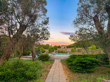 Footpath amidst trees against sky during sunset