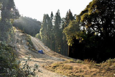 Road amidst trees against sky