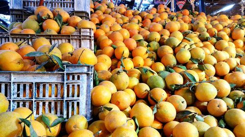 Close-up of fruits for sale at market stall