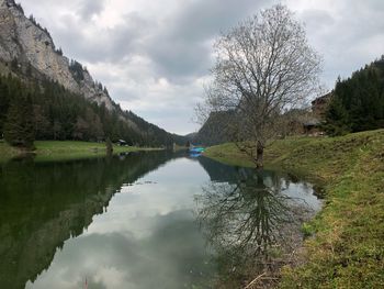 Reflection of trees in lake against sky