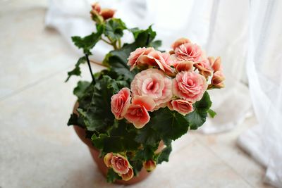 Close-up of rose bouquet