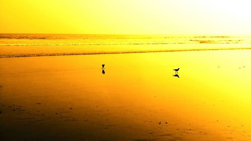 Scenic view of sea against sky at sunset