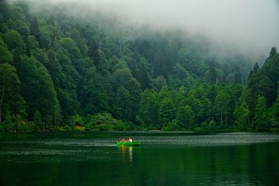 People in boat on river against trees