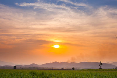 Scenic view of field against sky during sunset