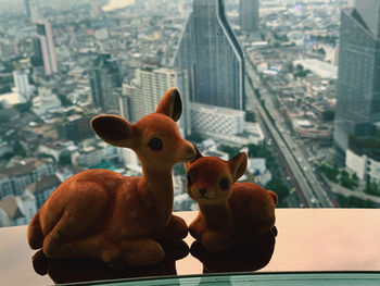 Close-up of two horses in city