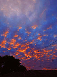 Low angle view of silhouette trees against sky during sunset