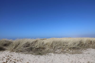 Scenic view of beach against clear blue sky