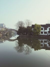 Reflection of trees in water