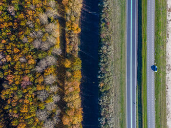 High angle view of road amidst trees