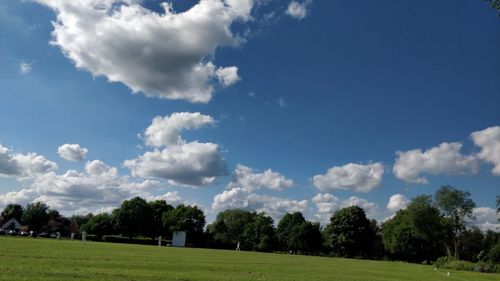 Trees on field against sky