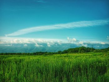 Scenic view of field against cloudy sky