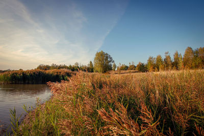 Scenic view of lake against sky