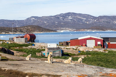 View of birds by the sea against mountain range