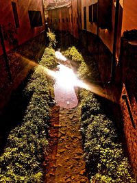 Narrow alley along buildings