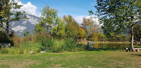 Trees growing on field against sky during autumn