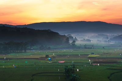 Scenic view of agricultural field against sky during sunset