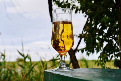 Beer glass on table in yard