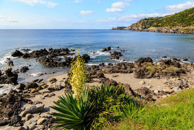 Scenic view of sea against sky