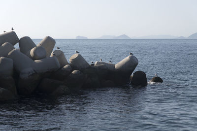 Scenic view of sea against clear sky