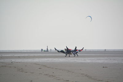 Paragliders landing at beach against sky