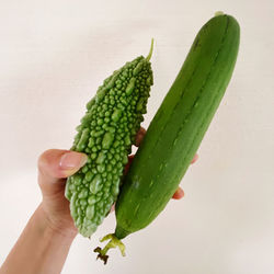 Close-up of hand holding leaf over white background