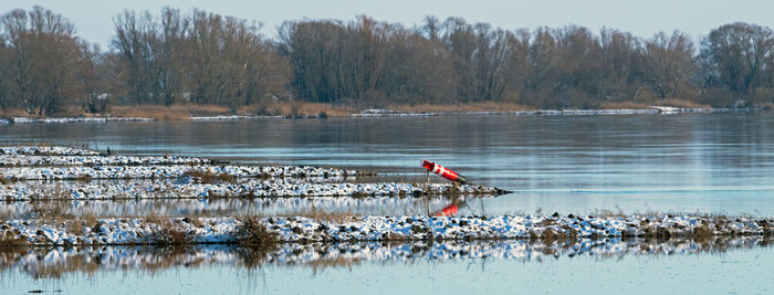 Bird perching on a lake