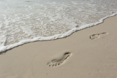 High angle view of footprints on beach