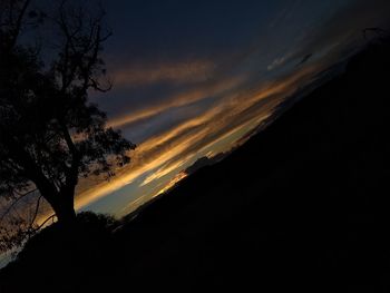 Silhouette trees against sky at sunset