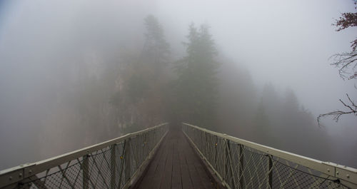 Bridge and fog in forest