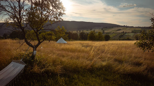 Scenic view of field against sky