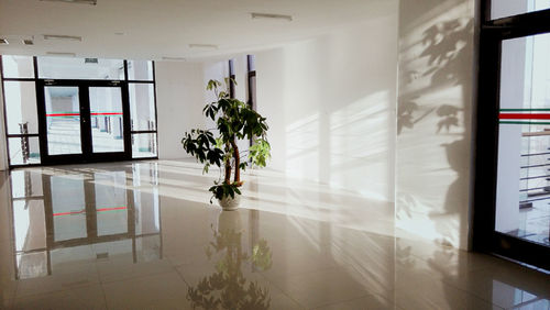 Interior of an empty room