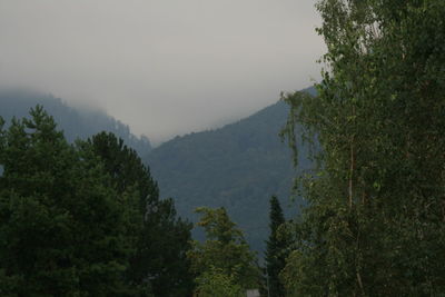 Scenic view of mountains in foggy weather